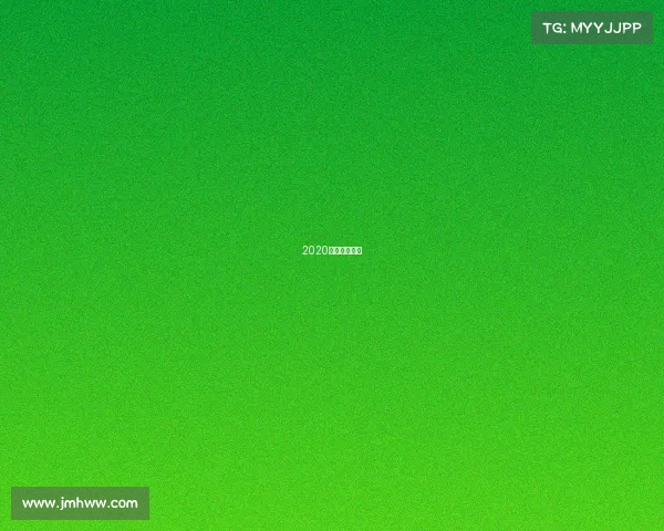 2020赛季巴甲视频